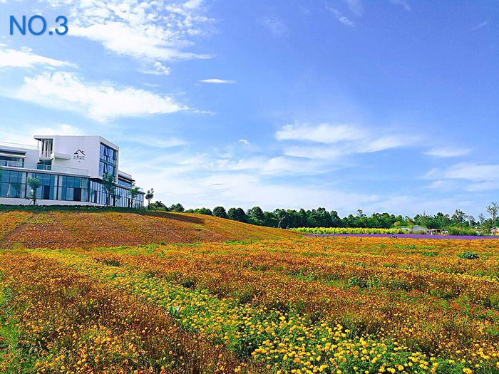 1627283553555520.jpg 3_syc8.jpg