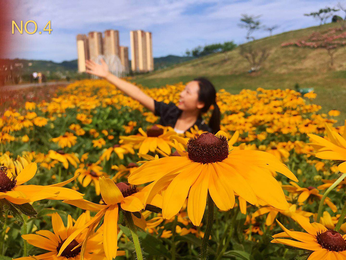 1627283560216152.jpg 4_mrzq.jpg