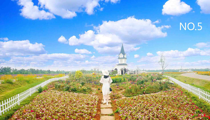 1627283567702819.jpg 5555.jpg