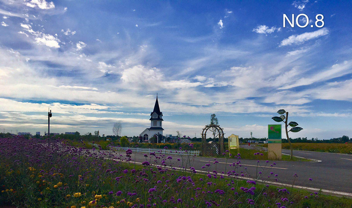 1627283636114501.jpg 8.jpg