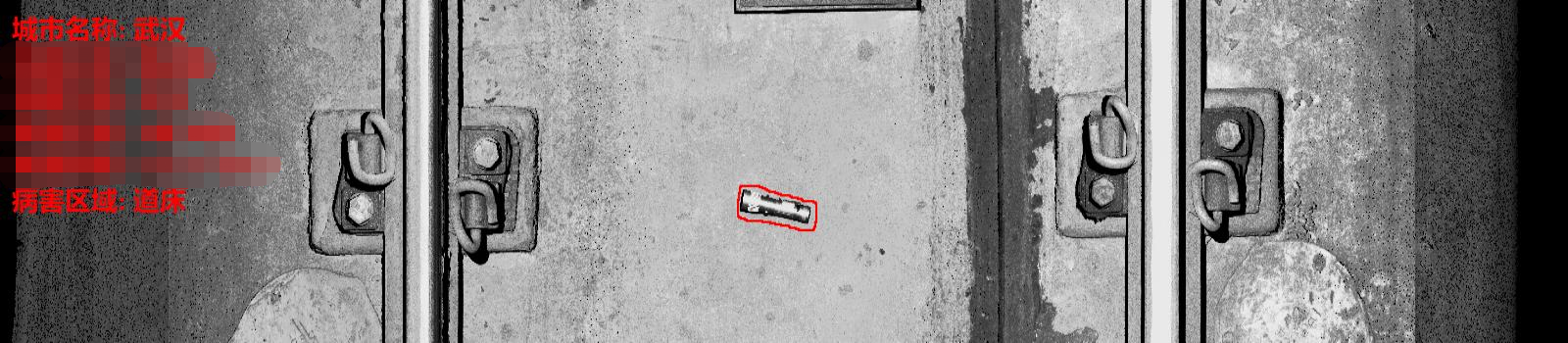 武汉病害图.png